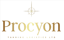 Procyon Logo